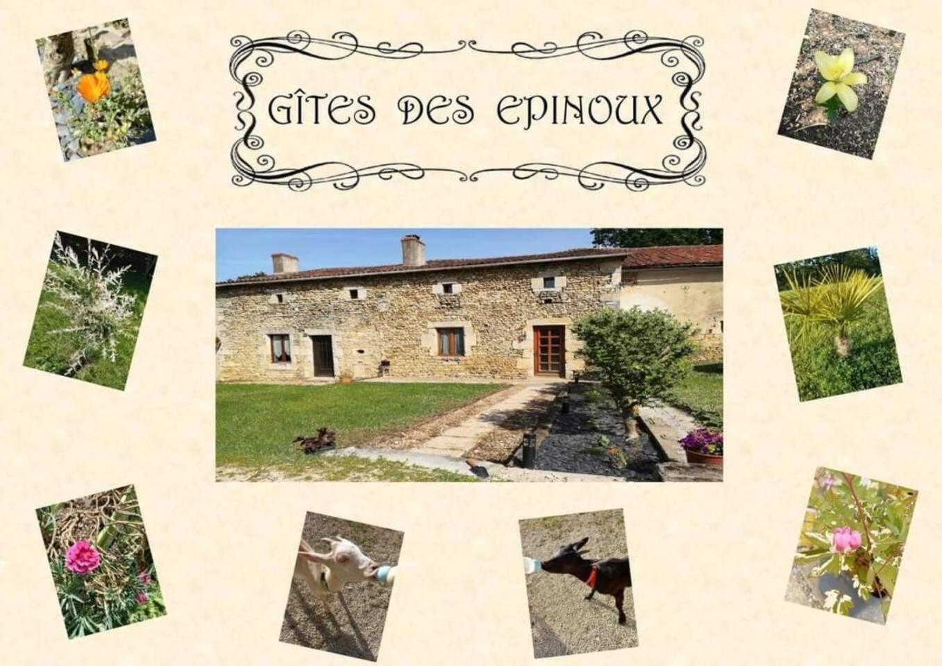 Le Papillon Villa Savigne Exteriör bild